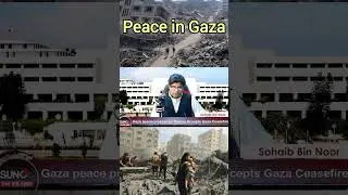 Peace In Gaza | #shorts  #trending #youtube