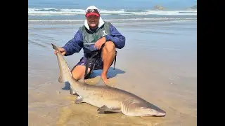Fishing for Ragged Tooth Sharks in the Garden Route of South Africa