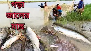 Traditional Net Fishing with Gora Jal &ndash; Amazing Catch! 🐟🐠🦐 #fishing