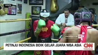 Petinju Indonesia Bidik Gelar Juara WBA Asia