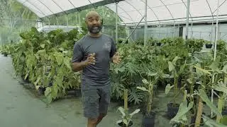 Find Rare Plants with Darryl's Discoveries