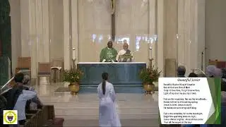 November 5th - Thirty-first Sunday in Orinary Time