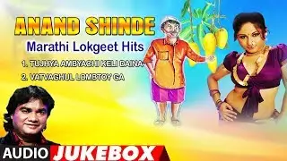 Anand Shinde Marathi Lokgeet Hits|आंब्याची केली दैना-दाबून दाबून |Marathi Masti Songs |ANAND SHINDE