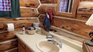 60 Sioux Trail, South Fork, CO - Log Home For Sale