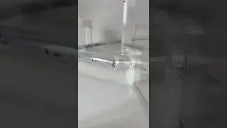 Petite &eacute;vasion de mes Lasius emarginatus !