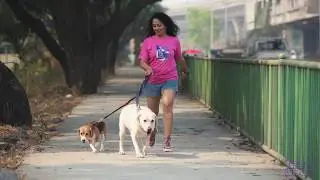 Multi-Function Leash Demo Video