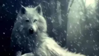 Beautiful Nostalgic Music