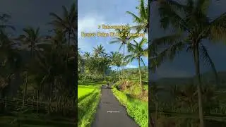 Rekomendasi wisata alam semarang yang wajib dicoba 2024 wisata menarik wisata hits dan viralsemarang