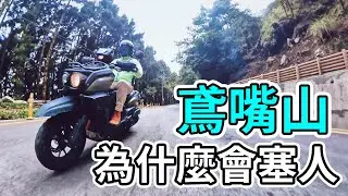 鳶嘴山 為什們會塞人。大雪山林道。賴桑。種樹。
