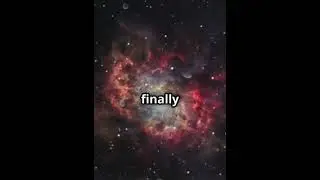 #physics #science #higgsboson #sciencefacts #cern