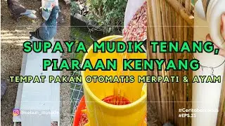 PILIHAN TEMPAT PAKAN MERPATI & AYAM, COCOK UNTUK DITINGGAL MUDIK KE KAMPUNG HALAMAN