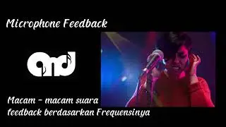 Microphone Feedback