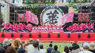 常笑 ｢桜Live｣ 富山のよさこい祭り1日目 （富山城址公園ステージ 1回目）