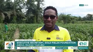 CSIR Pushes for Bigger Investment in Oil Palm Farming