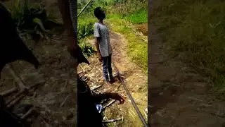 Kupe Boys - Estudando  o meio ambiente