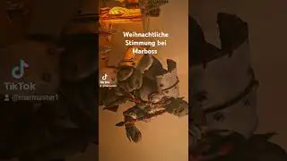 Weihmachtsdeko 2024 #marboss #funny #marbaws #marvalous #marmasterlps #comedy #all #lp #ytworld