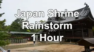 1 Hour Japanese shrine rainstorm heals brainrot - Ambience Sounds White Noise Relax Sleep