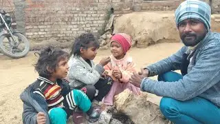 मेरी प्यारी सी बेबी गुढीया