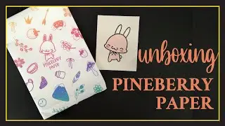 Unboxing: Pineberry Paper. New-to-me small Sticker Shop. What did I order?