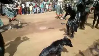 BALENG EN MARCHE