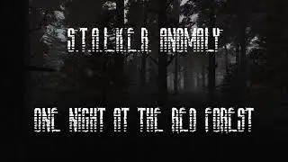 S.T.A.L.K.E.R. Anomaly Ambience - One Night at the Red Forest