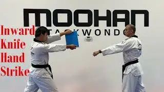 Red Belt Red Stripe (Breaking Techniques)