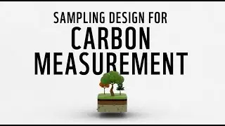 Carbon measurement technical training | Sampling design