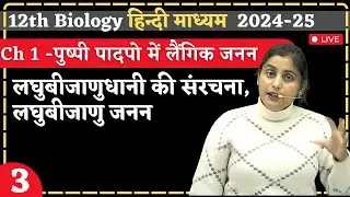 Lec-3 | लघुबीजाणुधानी  की संरचना, लघुबीजाणु जनन | Ch-1 | पुष्पी पादपो में लैंगिक जनन | 12th Biology