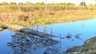 R&acirc;ul Răut la Bălți, poluat și umflat pe vreme secetoasă (13.10.2014)