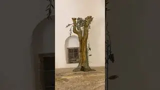 The Golden Olive Tree | Zechariah&rsquo;s Vision