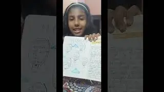 Amanda 's journal...