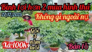 27/12/2025☎️0358453990 Mai 👉 vườn mới xã rẻ chấn động 100k 1 cây gốc 3 năm tuổi bình lợi đế thú 