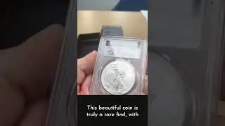 Introducing the 2012 Silver Eagle, a true collector's gem!