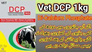DCP 1kg cattle feed | How to calcium phosphate cattle in pakistan | Dcp powder for goats