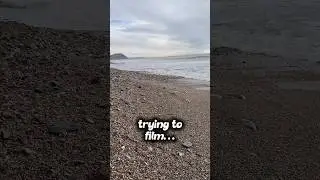 Always SOMEONE!! #fossils #fossilhunting #funny #education #educational #beachcombing #beach #uk #4u