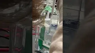 Loading a gel for SDS-PAGE electrophoresis