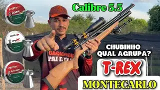 PCP T REX MONTECARLO AGRUPAMENTO CHUBINHOS RIFLE 5.5 25 METROS PRECIS&Atilde;O E POT&Ecirc;NCIA ESSA ENTREGA