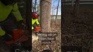 395XP on an open face notch