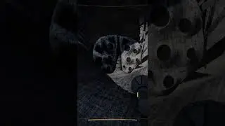 content warning - cave spiders