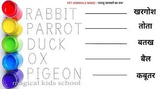 Pet Animals name || Animals name || पालतू जानवर के नाम || wild animals name || जंगली जानवरों के नाम