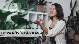 Így lesznek csodás növényeid | Herczeg Hajni