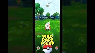 I Found a Rare Growlithe Hisuian in Pokemon GO #Shorts #Growlithe #Pok&eacute;monGOCatch