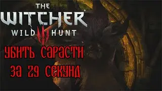 The Witcher 3: Sarasti in 29 seconds (WR)
