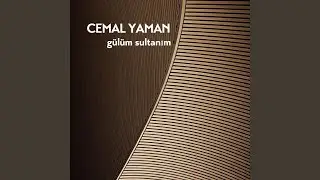 Alıngan Yıllar