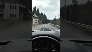 Scenic Forest Drive 🚗 Fir Trees, Winding Road, and Peaceful Homes 🏡 POV 🎧 No Music #automobile #pov