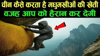 China की Bee Farming तकनीक देख रह जाएंगे दंग ! Bee Farming का सच जानकर हो जाएंगे हैरान