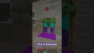 Mob Proof Door!