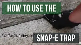 Quick Solutions: How to Use Big Snap-E Snap Trap