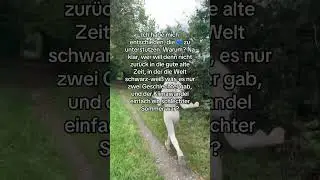 wer nicht.. #viral #deutschland🇩🇪 #blondine #afd