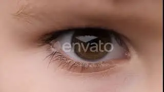 Eye of Child Looking the Camera. Extreme Close-Up. Stare at Something. Children's Emotions. Chil...